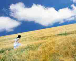 java后﻿端‍基‌础‍